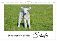 Cover Die schöne Welt der Schafe (Wandkalender 2026 DIN A4 quer), CALVENDO Monatskalender
