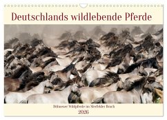 Cover Deutschlands wildlebende Pferde (Wandkalender 2026 DIN A3 quer), CALVENDO Monatskalender