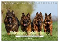 Altdeutsche Schäferhunde - Traumhafte Schäferhunde Langstockhaar (Tischkalender 2026 DIN A5 quer), CALVENDO Monatskalender