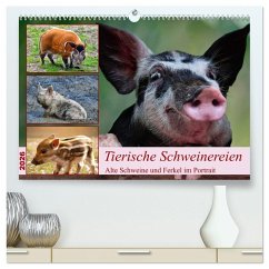 Cover Tierische Schweinereien (hochwertiger Premium Wandkalender 2026 DIN A2 quer), Kunstdruck in Hochglanz