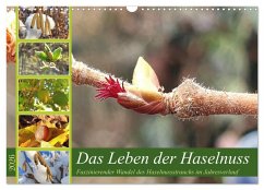 Das Leben der Haselnuss (Wandkalender 2026 DIN A3 quer), CALVENDO Monatskalender Das Leben der Haselnuss (Wandkalender 2026 DIN A3 quer), CALVENDO Monatskalender