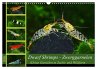 Dwarf Shrimps - Zwerggarnelen... - Bild 1