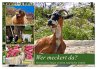 Wer meckert da? (Wandkalender 2026 DIN... - Bild 1