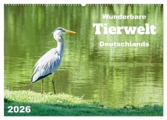 Wunderbare Tierwelt Deutschlands (Wandkalender 2026 DIN A2 quer), CALVENDO Monatskalender