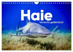 Haie - Vorsicht gefährlich! (Wandkalender 2026 DIN A4 quer), CALVENDO Monatskalender Haie - Vorsicht gefährlich! (Wandkalender 2026 DIN A4 quer), CALVENDO Monatskalender