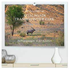Cover Auf Pirschfahrt im Kgalagadi Transfrontier Park (hochwertiger Premium Wandkalender 2026 DIN A2 quer), Kunstdruck in Hochglanz