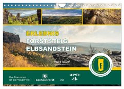 Cover Erlebnis Forststeig Elbsandstein (Wandkalender 2026 DIN A4 quer), CALVENDO Monatskalender