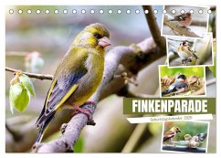 Finkenparade (Tischkalender 2026 DIN A5 quer), CALVENDO Monatskalender Cover Finkenparade (Tischkalender 2026 DIN A5 quer), CALVENDO Monatskalender