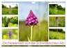 Orchideenzeit auf der Schwäbischen Alb... - Bild 1