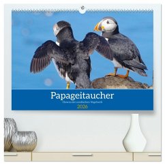 Papageitaucher - Clowns der nordischen Vogelwelt (hochwertiger Premium Wandkalender 2026 DIN A2 quer), Kunstdruck in Hochglanz Papageitaucher - Clowns der nordischen Vogelwelt (hochwertiger Premium Wandkalender 2026 DIN A2 quer), Kunstdruck in Hochglanz
