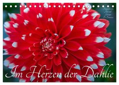 Cover Im Herzen der Dahlie (Tischkalender 2026 DIN A5 quer), CALVENDO Monatskalender