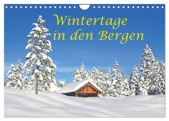 Cover Wintertage in den Bergen (Wandkalender 2026 DIN A4 quer), CALVENDO Monatskalender