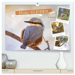 Flinke Kleiber (hochwertiger Premium Wandkalender 2026 DIN A2 quer), Kunstdruck in Hochglanz Cover Flinke Kleiber (hochwertiger Premium Wandkalender 2026 DIN A2 quer), Kunstdruck in Hochglanz