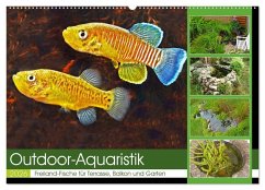 Cover Outdoor-Aquaristik (Wandkalender 2026 DIN A2 quer), CALVENDO Monatskalender