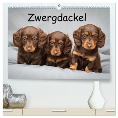 Cover Zwergdackel von Kadi (hochwertiger Premium Wandkalender 2026 DIN A2 quer), Kunstdruck in Hochglanz