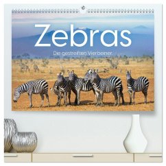Zebras - Die gestreiften Vierbeiner. (hochwertiger Premium Wandkalender 2026 DIN A2 quer), Kunstdruck in Hochglanz