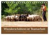 Wanderschäferei ist Teamarbeit... - Bild 1