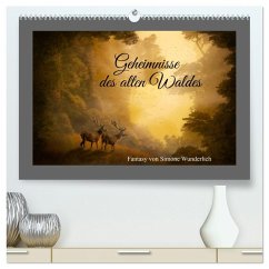 Geheimnisse des alten Waldes (hochwertiger Premium Wandkalender 2026 DIN A2 quer), Kunstdruck in Hochglanz