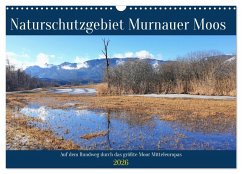 Naturschutzgebiet Murnauer Moos - Auf dem Rundweg durch das größte Moor Mitteleuropas (Wandkalender 2026 DIN A3 quer), CALVENDO Monatskalender