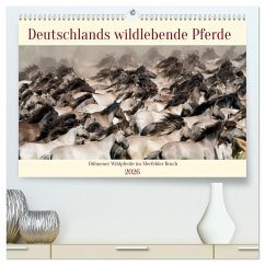 Deutschlands wildlebende Pferde (hochwertiger Premium Wandkalender 2026 DIN A2 quer), Kunstdruck in Hochglanz Deutschlands wildlebende Pferde (hochwertiger Premium Wandkalender 2026 DIN A2 quer), Kunstdruck in Hochglanz