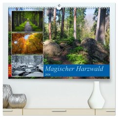 Magischer Harzwald (hochwertiger Premium Wandkalender 2026 DIN A2 quer), Kunstdruck in Hochglanz Cover Magischer Harzwald (hochwertiger Premium Wandkalender 2026 DIN A2 quer), Kunstdruck in Hochglanz