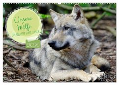 Unsere Wölfe - Ein Wildtier kehrt zurück (Wandkalender 2026 DIN A2 quer), CALVENDO Monatskalender Unsere Wölfe - Ein Wildtier kehrt zurück (Wandkalender 2026 DIN A2 quer), CALVENDO Monatskalender