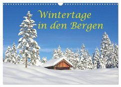 Cover Wintertage in den Bergen (Wandkalender 2026 DIN A3 quer), CALVENDO Monatskalender