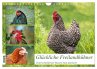 Glückliche Freilandhühner... - Bild 1