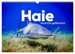 Haie - Vorsicht gefährlich! (Wandkalender 2026 DIN A3 quer), CALVENDO Monatskalender Haie - Vorsicht gefährlich! (Wandkalender 2026 DIN A3 quer), CALVENDO Monatskalender