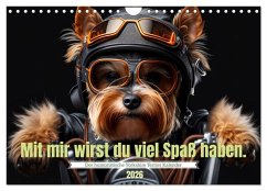 Der humoristische Yorkshire Terrier Kalender (Wandkalender 2026 DIN A4 quer), CALVENDO Monatskalender