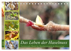 Das Leben der Haselnuss (Tischkalender 2026 DIN A5 quer), CALVENDO Monatskalender