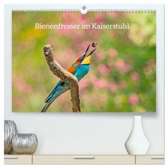 Bienenfresser im Kaiserstuhl (hochwertiger Premium Wandkalender 2026 DIN A2 quer), Kunstdruck in Hochglanz