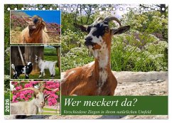 Cover Wer meckert da? (Tischkalender 2026 DIN A5 quer), CALVENDO Monatskalender