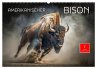 Amerikanischer Bison (Wandkalender 2026... - Bild 1