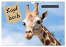 Kopf hoch Motivations Sprüche... - Bild 1