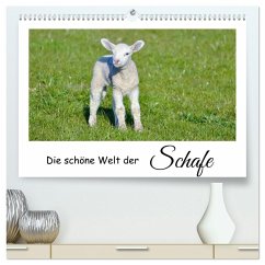 Die schöne Welt der Schafe (hochwertiger Premium Wandkalender 2026 DIN A2 quer), Kunstdruck in Hochglanz Die schöne Welt der Schafe (hochwertiger Premium Wandkalender 2026 DIN A2 quer), Kunstdruck in Hochglanz