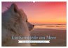 Ein Samojede am Meer (Wandkalender 2026... - Bild 1