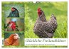 Glückliche Freilandhühner... - Bild 1