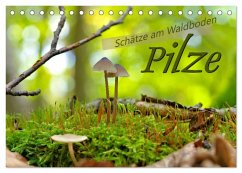 Cover Pilze - Schätze am Waldboden (Tischkalender 2026 DIN A5 quer), CALVENDO Monatskalender