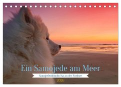 Ein Samojede am Meer (Tischkalender 2026 DIN A5 quer), CALVENDO Monatskalender