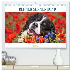 Berner Sennenhund - Eine Liebe für´s Leben (hochwertiger Premium Wandkalender 2026 DIN A2 quer), Kunstdruck in Hochglanz