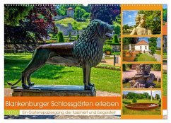 Blankenburger Schlossgärten erleben (Wandkalender 2026 DIN A2 quer), CALVENDO Monatskalender Blankenburger Schlossgärten erleben (Wandkalender 2026 DIN A2 quer), CALVENDO Monatskalender