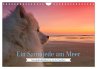 Ein Samojede am Meer (Wandkalender 2026... - Bild 1