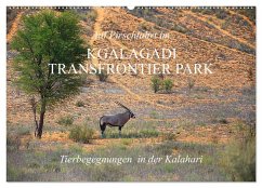 Cover Auf Pirschfahrt im Kgalagadi Transfrontier Park (Wandkalender 2026 DIN A2 quer), CALVENDO Monatskalender