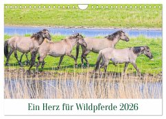 Ein Herz für Wildpferde (Wandkalender 2026 DIN A4 quer), CALVENDO Monatskalender Ein Herz für Wildpferde (Wandkalender 2026 DIN A4 quer), CALVENDO Monatskalender