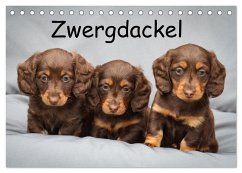 Cover Zwergdackel von Kadi (Tischkalender 2026 DIN A5 quer), CALVENDO Monatskalender
