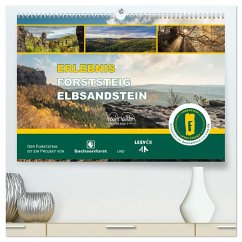 Erlebnis Forststeig Elbsandstein (hochwertiger Premium Wandkalender 2026 DIN A2 quer), Kunstdruck in Hochglanz