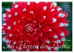 Cover Im Herzen der Dahlie (Wandkalender 2026 DIN A3 quer), CALVENDO Monatskalender