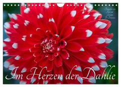 Cover Im Herzen der Dahlie (Wandkalender 2026 DIN A4 quer), CALVENDO Monatskalender