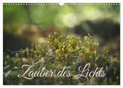 Cover Zauber des Lichts (Wandkalender 2026 DIN A3 quer), CALVENDO Monatskalender